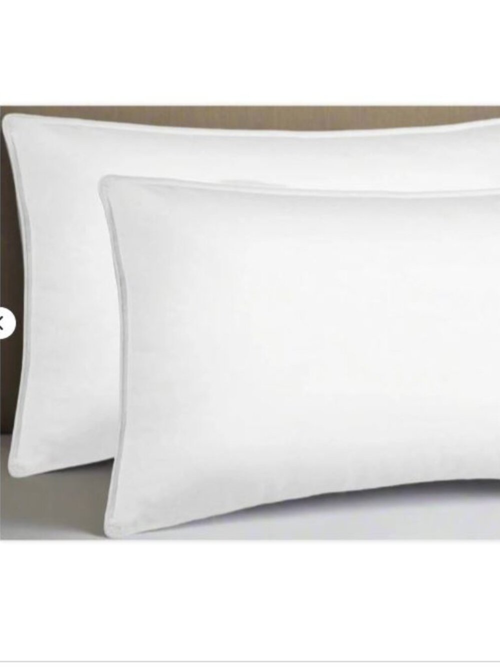 2 Charter Club European White Goose Down King Pillows w/protectors-Med-600 FP - Picture 2 of 5